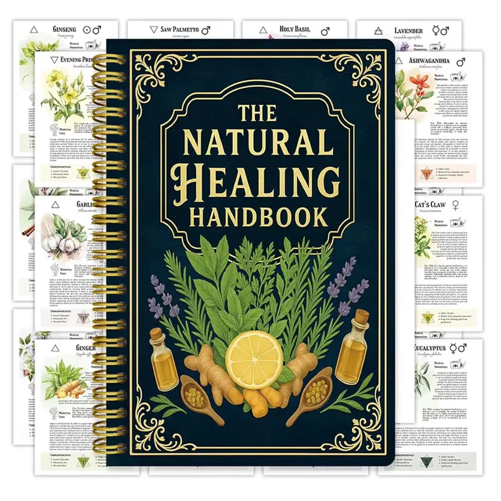 Health & Wellness Lions - Healing Handbook By Luna Filby English