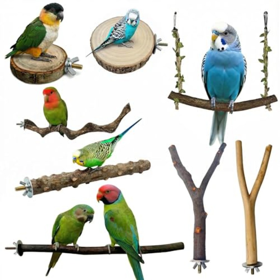 8PCS natural wood bird perches - огляд і ціна Health & Wellness Newsletter