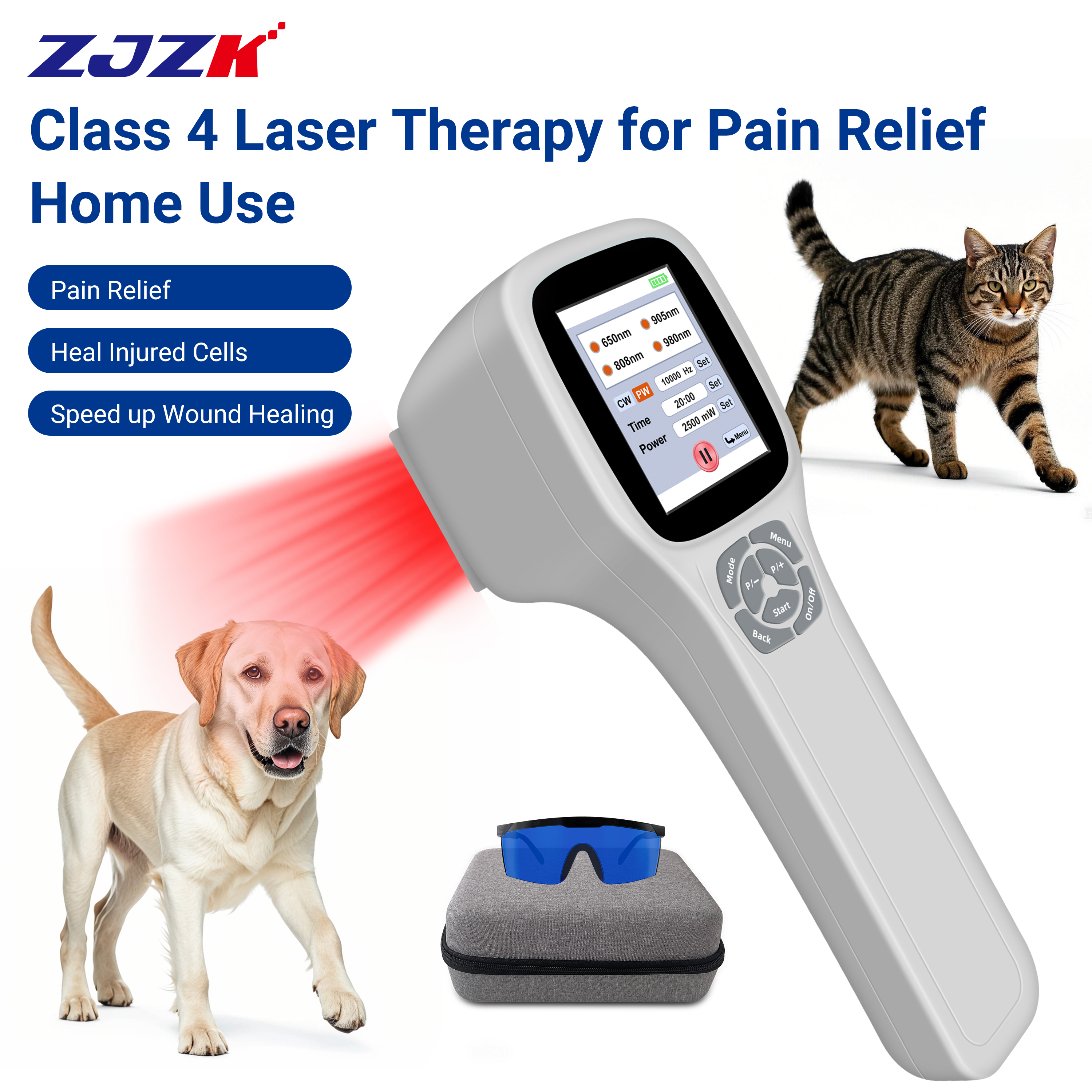 NEW2026Clinical Class2 650nm 8 - огляд і ціна Red Light Therapy Device