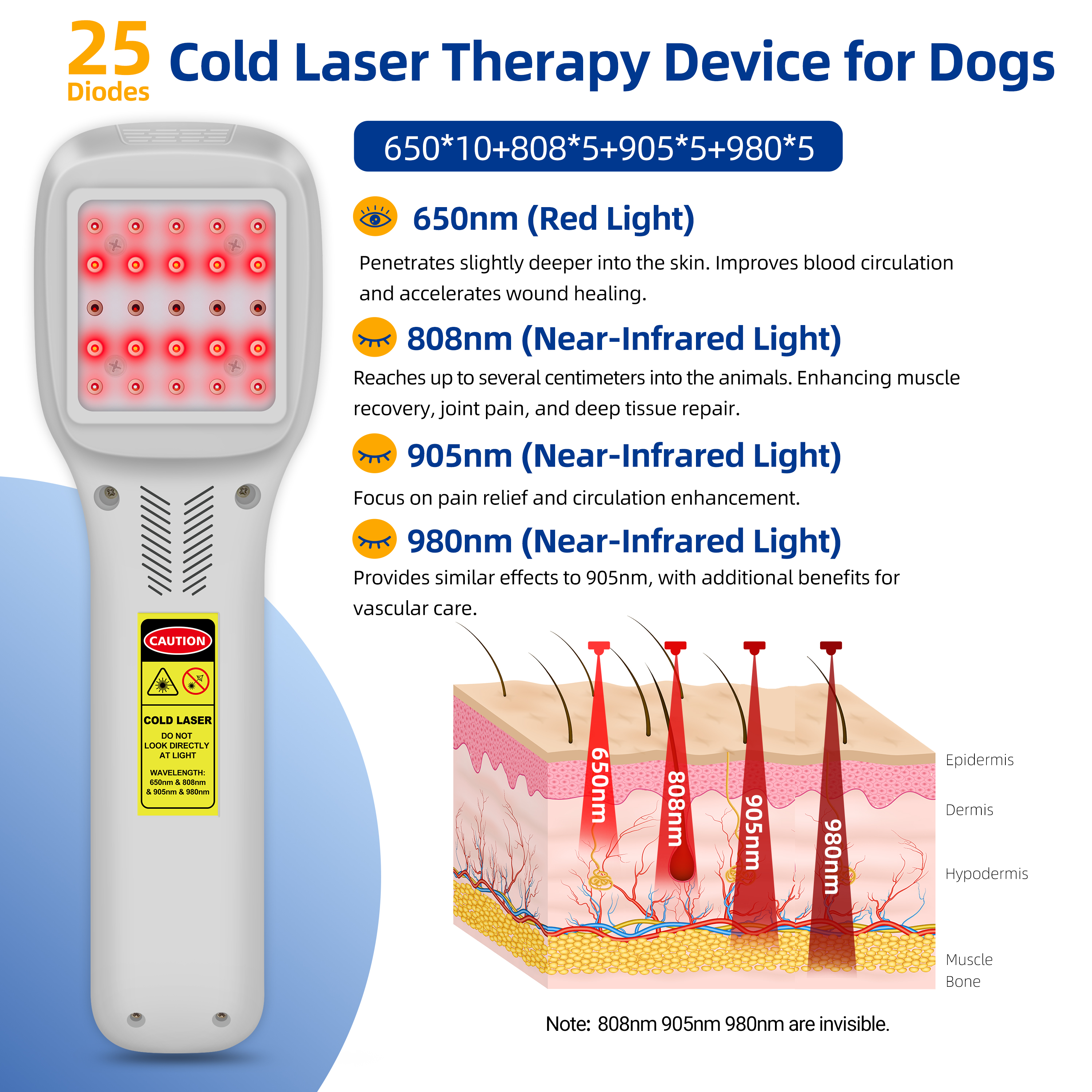 NEW2026Clinical Class2 650nm 8 - огляд і ціна Red Light Therapy Device